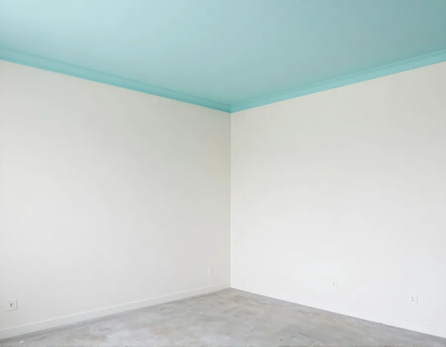 Techo y estancia renovados